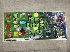 Plants Vs Zombie Birthday Party Supplies Decorations