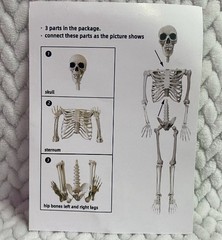 Halloween Oversized Poseable Full Life Size Human Skeleton Decoration