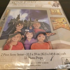 Harry Potter Birthday Scene Setter