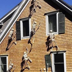 Halloween Humanoid Skeleton Decoration Haunted House Party Home Decor Prop UK