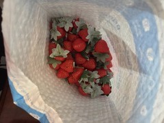 HUGE Berry First Birthday Party Supplies Decorations Strawberry Theme Lot