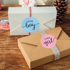 48Pcs Gender Reveal Stickers Baby Shower Labels Team Boy or Girl for Decorations