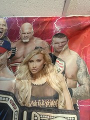 WWE Happy Birthday Backdrop Banner Photo Background Party Decoration 60″x40x