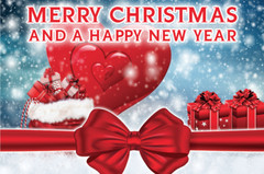 Large Poster Print Laminated Christmas Backdrop Scene Setter Any Text Presents