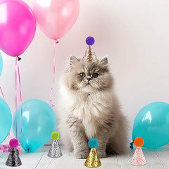 Mini Glitter Birthday Party Hats – 10 Pcs Multicolor Cone Hats for Kids & Pets