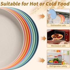 becutlery 8 PACK 9 Inches Lightweight Wheat Straw standard, Colorful