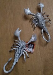 2 x SCORPION SKELETONS creepy Town 24x13x4cm Plastic Funky Halloween Fun
