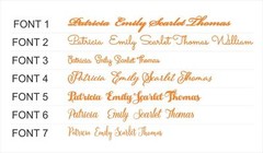 Personalized Wedding Place Cards Acrylic Table Name Calligraphy Wedding Any Font