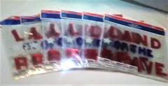 Patriotic items for USA 250th Celebration