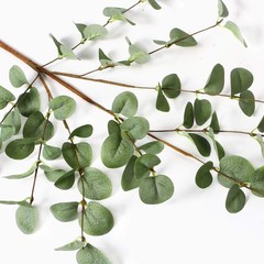 VGIA 6 Pcs 27″ Eucalyptus Stems Greenery 27 Inch x 9.5 Inch, Green – 6