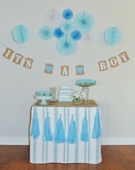 Baby Boy Baby Shower Decorations- It’s A Boy- Blue Decor