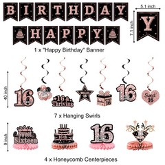 Sweet 16 Party Decorations – 16th Birthday Decorations Backdrop, Banner, Hone…