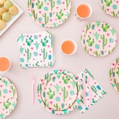 Sparkle and Bash Cactus Birthday Party Decorations 169-Piece Dinnerware Pink