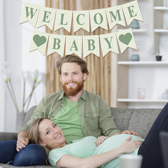 Sage Green Gingham Welcome Baby Banner for Shower or Gender Reveal Decor
