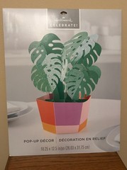 Hallmark Celebrate Pop Up Decor Table Centerpiece Plant Celebration Party