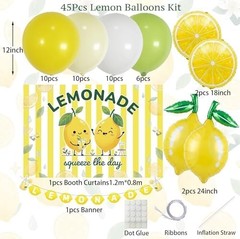 Lemonade Stand Supplies Kit with Lemonade Sign Banner and Lemon Balloons, Lemona