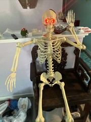 Crazy Bonez PoseNStay 5FT Skeleton Posable Moveable Joints Eyes light up