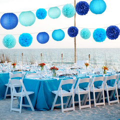 15 Pcs Navy Blue Party Decorations – Easy Assemble Tissue Paper Pom Poms & Honey