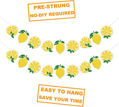 Lemon Banner Garland Lemon Party Decorations for Birthday, Baby Shower Supplies