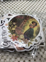 Encanto birthday party supplies, Plates Napkins Stickers Key Chains