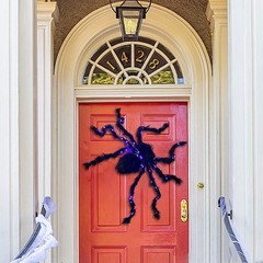 Halloween Largr Spider Light Up Haunted House Prop Outdoor Indoor Party Decor JQ