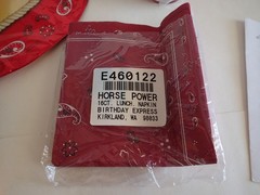 PARTY SUPPLIES: 2004 Birthday Express HORSE POWER Design Set, Kids Play Fun