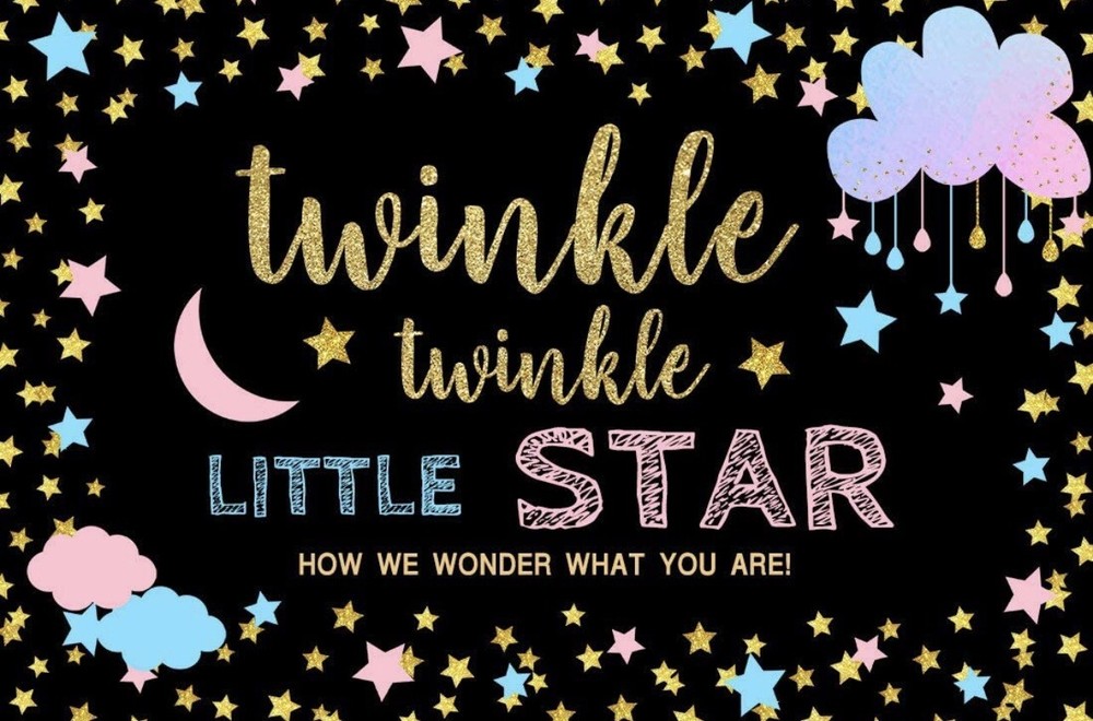 Mocsicka Backdrop Twinkle Star Gender Reveal