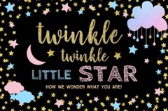 Mocsicka Backdrop Twinkle Star Gender Reveal