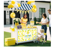 34Pc Lemonade Stand Decorations Banner Balloon Garland Kids Summer Party Set