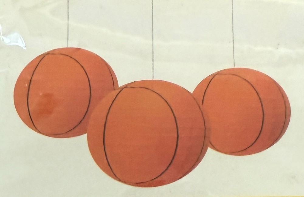 Hanging Paper Lanterns Set – 10″ diam, 6 Pieces Baseball/Basketball/Animal Theme