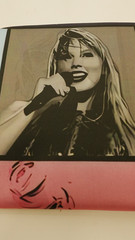 Taylor Party Decorations Banner & Hanging Swirls, Swift Music Birthday Decor