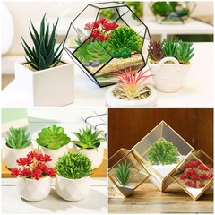 QUOZUO Artificial Succulents Plants, 16pcs Fake 1.8-5.1 inches, Colorful