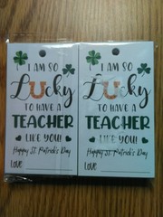 St Patricks Day Party Supply Lot 30pc Decor Set 50 Teacher Gift Tags Guinness