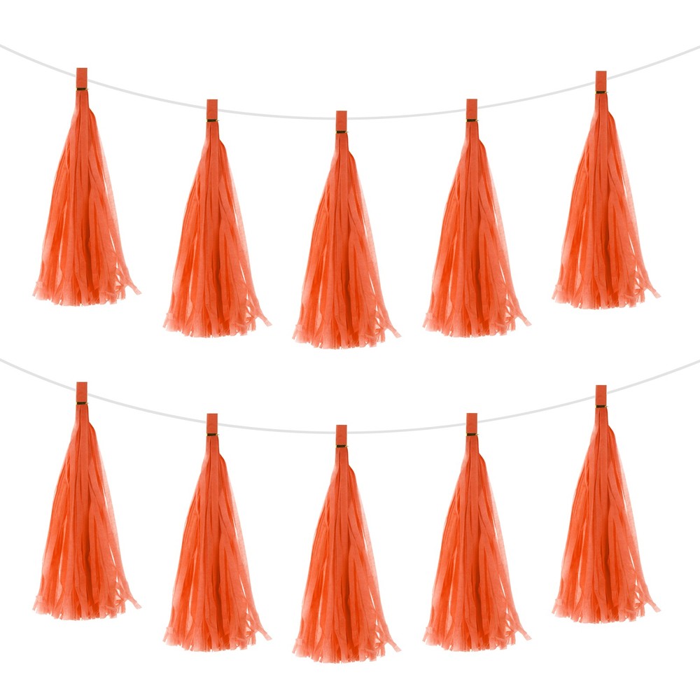 30Pcs Bright Orange Tassel Garland Banner with Rope