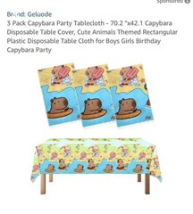 Capybara Birthday Party Decoration Lot