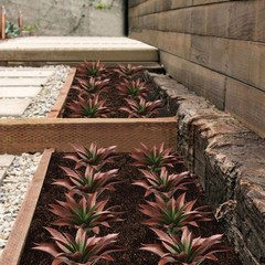 JUSTOYOU Large Artificial Succulents Aloe Plants Real Touch Fake Large, Red