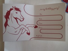 PARTY SUPPLIES: 2004 Birthday Express HORSE POWER Design Set, Kids Play Fun