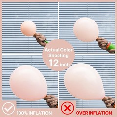 Pastel Orange Balloons 100 pcs Different Sizes of 36 18 12 10 5 Inch Baby Pal…