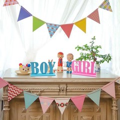 Gender Reveal Wooden Table Centerpieces 2 PCS Boy Girl Signs Blue Pink Decor