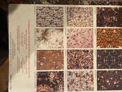 English Chintz Floral Designs Classic Gift Wraps Victoria & Albert Museum London