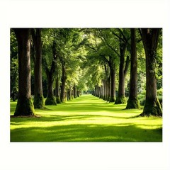 Forest Greenery Scenery Tropical Rainforest Waterfall Backdrop Photo Background