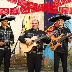 Vitalcozy 4 Pack 59 Ft Mexican Papel Picado Banner Plastic Mexican Talavera