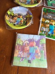 Minecraft Birthday Party Decorations Plates Napkins MC8 M1