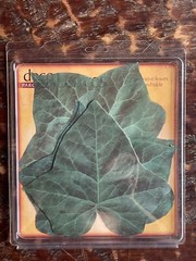 Parchment Deco Fall Leaves-Nature Party Decorations-Lot of 3-Made in the USA