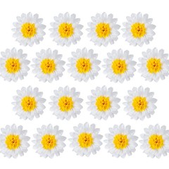 18-Pack 10 inch White Tissue Pom Poms Daisy Flower Party Backdrop Decor
