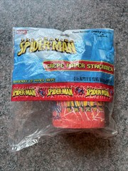 Spiderman Party Streamer – 2008 Party Express From Hallmark Deadstock