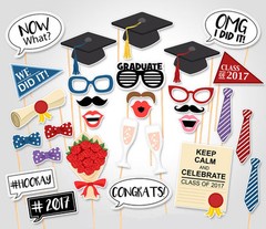 Graduation Party Photo Booth Props , Attached To The Stick, USA SELLER