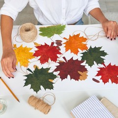 50 PCS Fall Autumn Maple Leaves Solid Cardboard Cutouts 100 Glue Points Decor