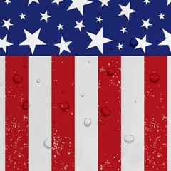 Disposable Stars & Stripes Tablecloth Set – Easy Cleanup for Patriotic Picnics