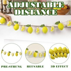 Felt 3D Lemon Garland Wool Felt Lemon Ball Banner Lemonade Birthday Party Dec…